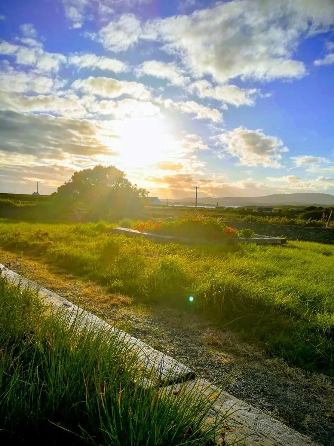 Heir Island House Bed & Breakfast Skibbereen Luaran gambar